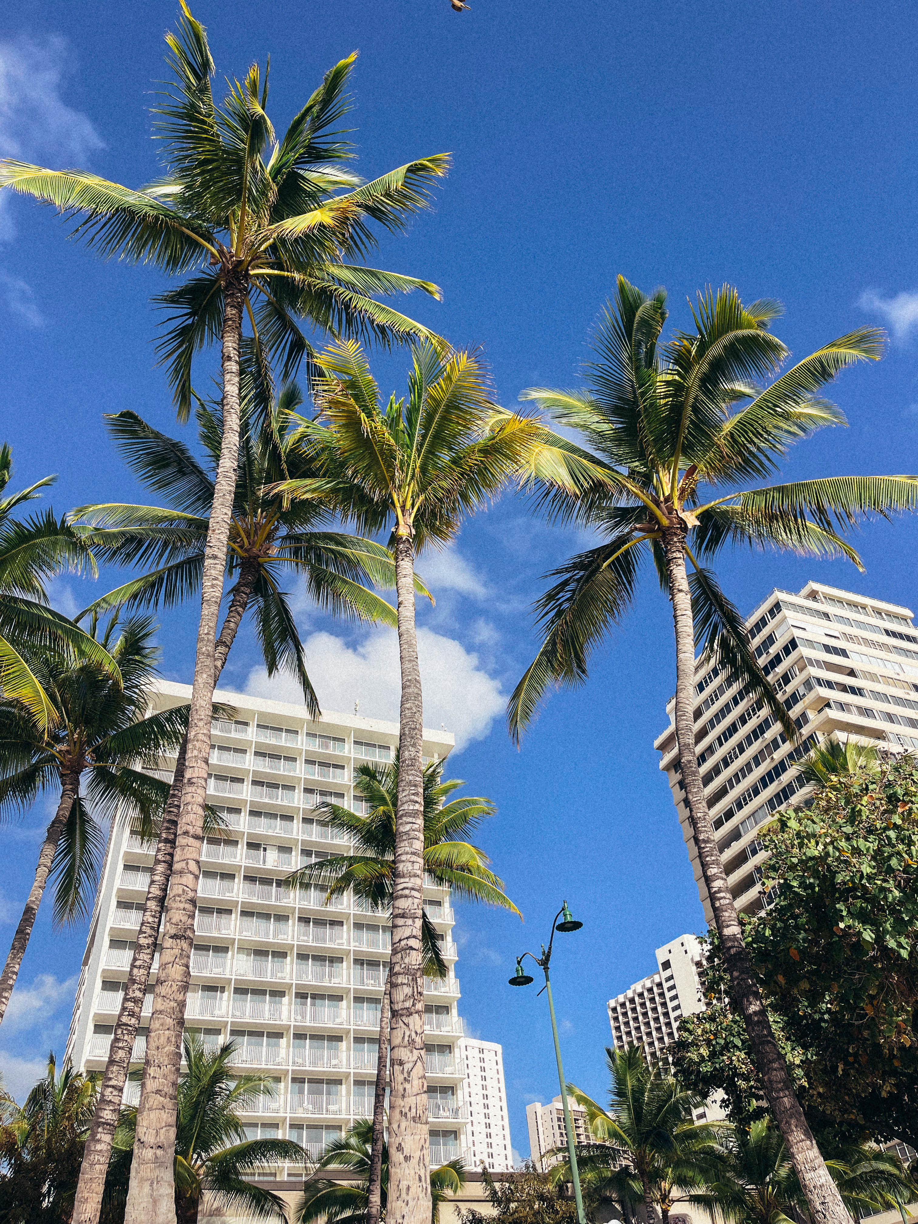 02.03.24_Oahu_-_Filler-7208.jpg