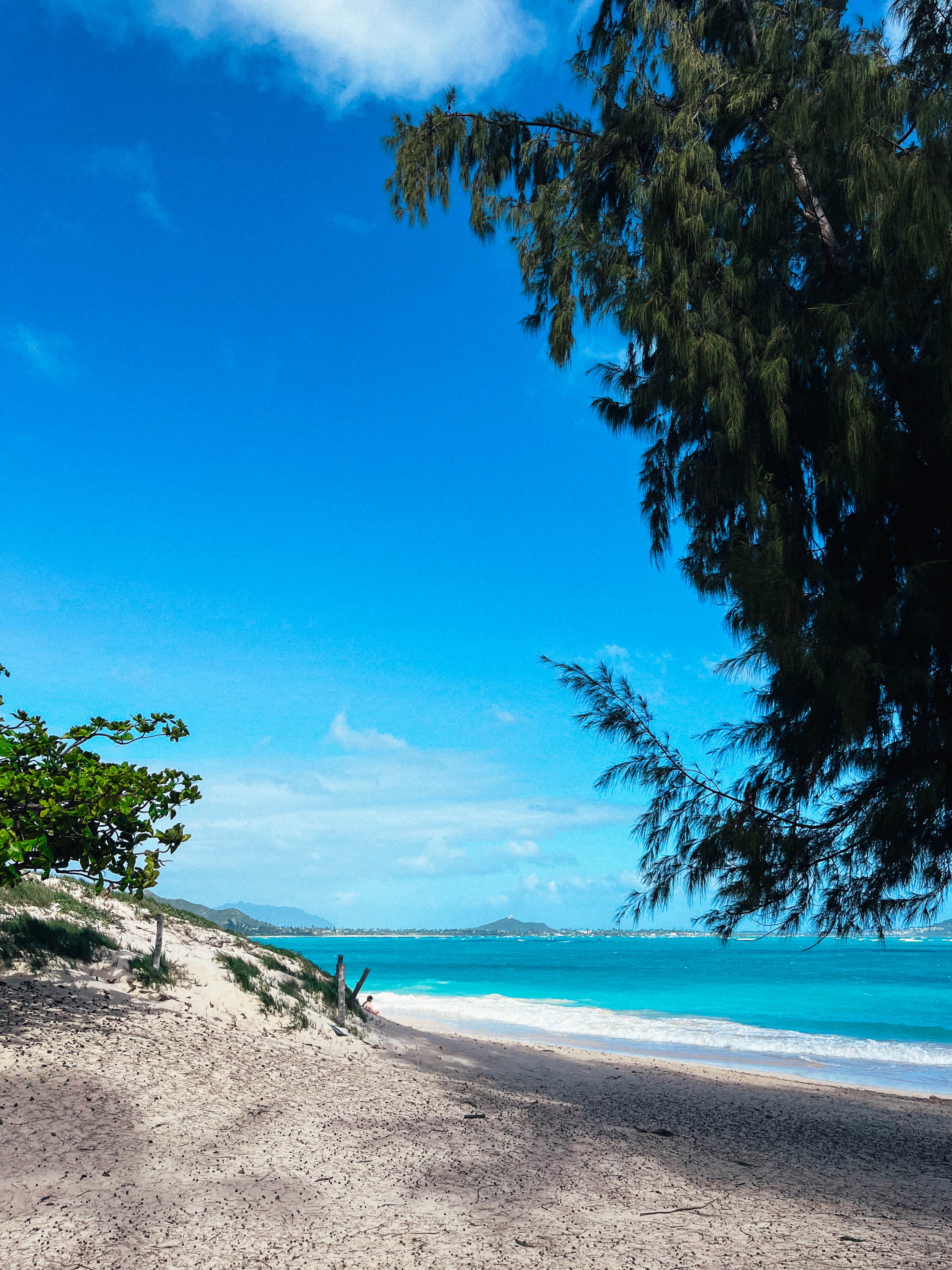 02.03.24_Oahu_-_Filler-6652.jpg