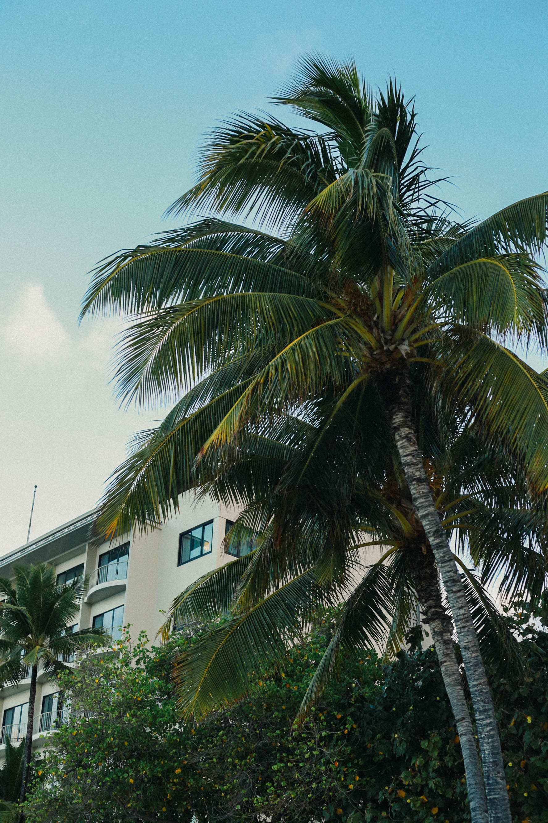 02.03.24_Oahu_-_Filler-7975.jpg